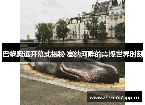 巴黎奥运开幕式揭秘 塞纳河畔的震撼世界时刻 巴黎奥运开幕式揭秘 塞纳河畔的震撼世界时刻